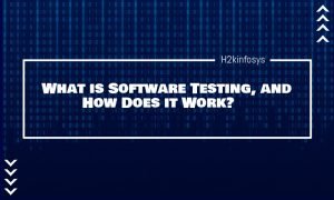 Software Testing