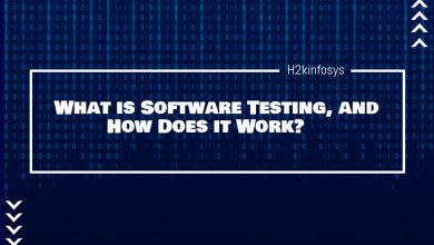 what is software testinh\g