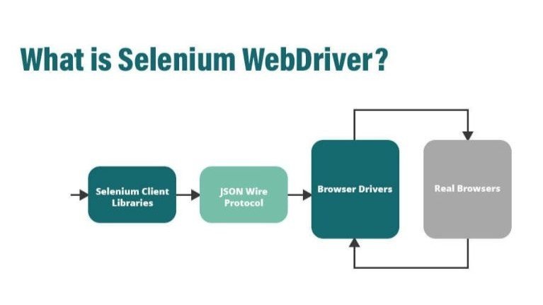 Selenium Webdriver with PYTHON from Scratch Selenium testing