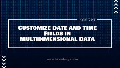 Customize Date and Time Fields in Multidimensional Data