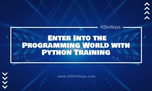 Enter Into the Programming World with Python Training