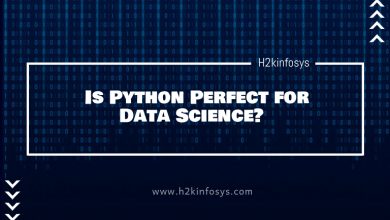 Is Python Perfect for Data Science