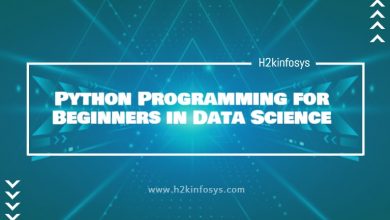 Python Programming for Beginners in Data Science