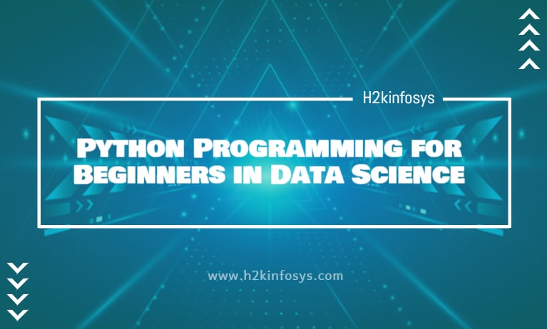 Python Programming for Beginners in Data Science