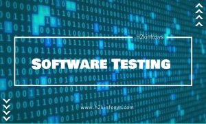 Software Testing