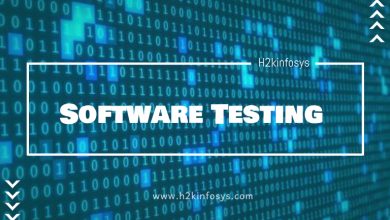 Software Testing