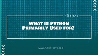 What is Python Primarily Used for?