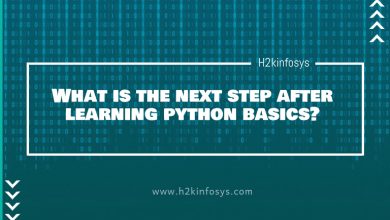 What is the next step after learning python basics?