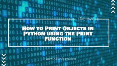 How to Print Objects in Python using the Print Function