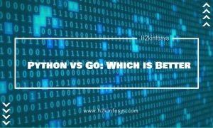 Python vs Go