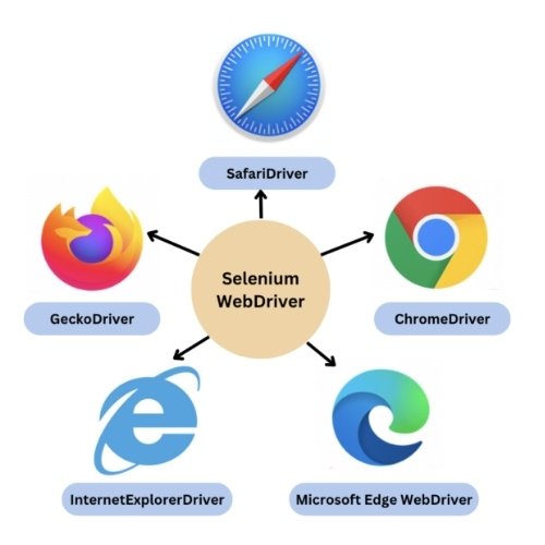 How to Automatically Login on Twitter using Selenium Webdriver - Python How to Automatically Login on Twitter using Selenium Webdriver - Python