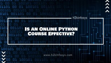 Is an Online Python Course Effective?