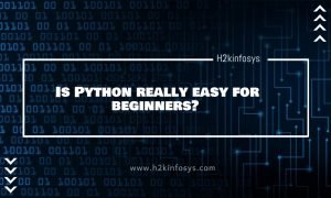 Is Python really easy for beginners?