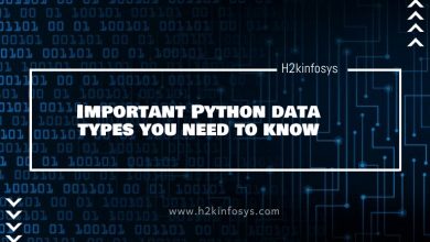 Important Python data types you need to know