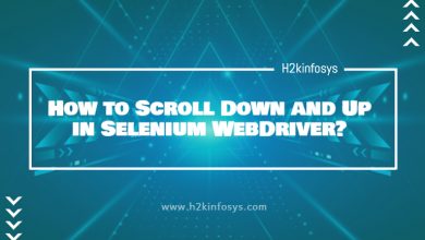 How to Scroll Down and Up in Selenium WebDriver
