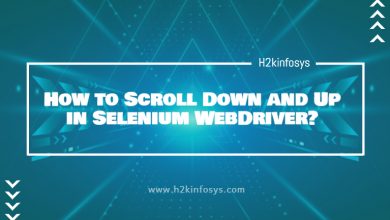 How to Scroll Down and Up in Selenium WebDriver