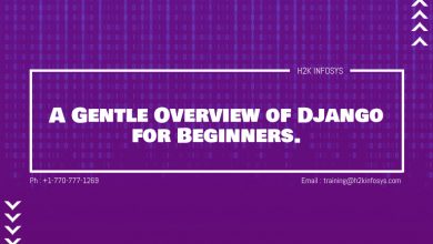 A Gentle Overview of Django for Beginners