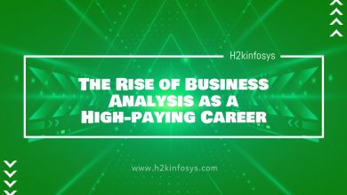 The Rise of Business Analysis as a High-paying Career