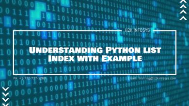 Understanding Python list Index with Example