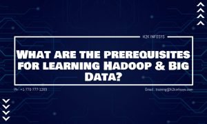 What are the prerequisites for learning Hadoop & Big Data?