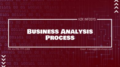 Business Analysis Process