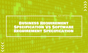 Business Requirement Specification Vs Software Requirement Specification