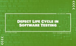 Defect Life Cycle in Software Testing