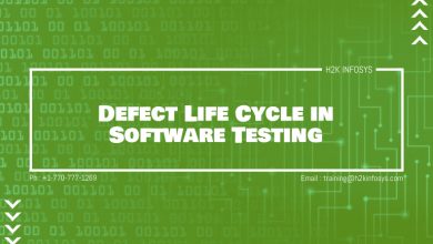 Defect Life Cycle in Software Testing