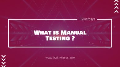 Manual Testing