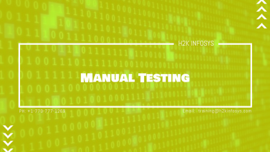 Manual Testing