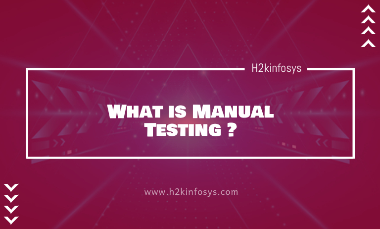 What is Manual Testing ? Manual Testing