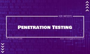 Penetration Testing