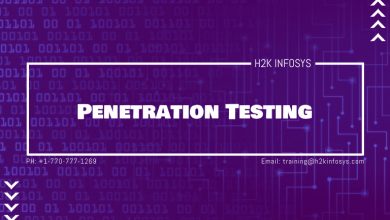 Penetration Testing