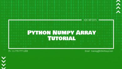 Python Numpy Array