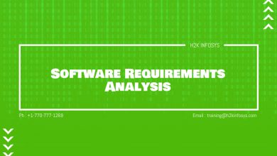 Software Requirements Analysis