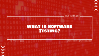 What Is Software Testing