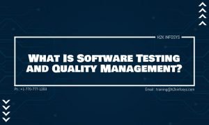 What Is Software Testing and Quality Management