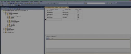 Getting Started with the T-SQL Getting Started with the T-SQL