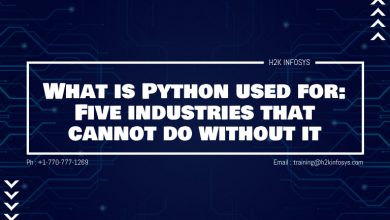 What is Python used for: Five industries that cannot do without it