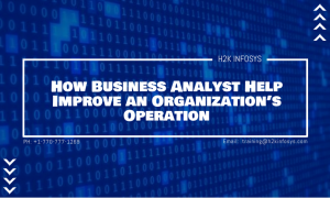 Business Analyst