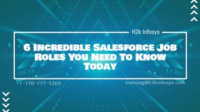 Salesforce Job Roles