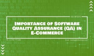Software Quality Assurance