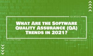 Software Quality Assurance