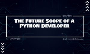 The Future Scope of a Python Developer
