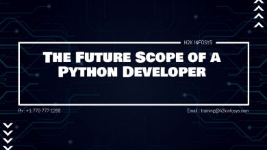 The Future Scope of a Python Developer