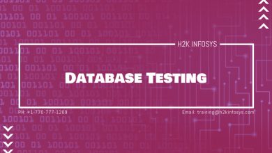 Database Testing