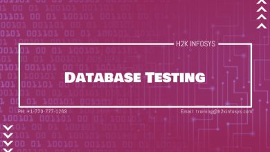 Database Testing