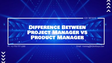 Project Manager and Product Manager