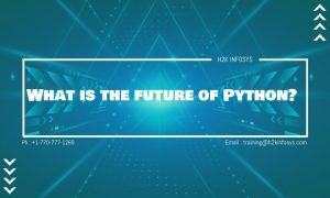 What is the future of Python?
