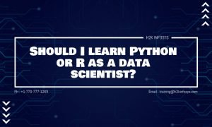 Should I learn Python or R as a data scientist?
